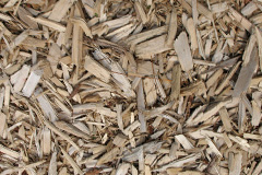biomass boilers Langbank
